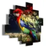 parrot paintings on canvas