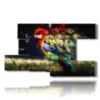 paintings on canvas parrots with magic feathers - version: 8 pannelli 173x100cm