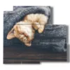 cats paintings wrapped in the cover - version: 5 pannelli 102x93cm