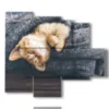 cats paintings wrapped in the cover - version: 5 pannelli 104x90cm