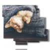 cats paintings wrapped in the cover - version: 6 pannelli 113x99cm