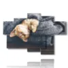 tableaux chats enveloppes dans la couverture - version: 6 pannelli 136x91cm