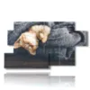 cats paintings wrapped in the cover - version: 7 pannelli 157x90cm