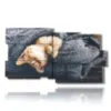 cats paintings wrapped in the cover - version: 10 pannelli 183x100cm