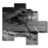 bilder baum vom wind gebogen - version: 5 pannelli 110x105cm