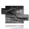 tableaux arbre courbe par le vent - version: 5 pannelli 128x85cm