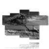 tableaux arbre courbe par le vent - version: 6 pannelli 136x91cm