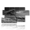 paintings tree bent by the wind - version: 7 pannelli 157x90cm