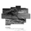 bilder baum vom wind gebogen - version: 9 pannelli 164x114cm