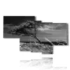 paintings tree bent by the wind - version: 7 pannelli 171x102cm