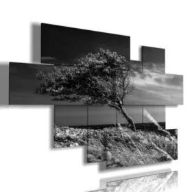 quadri albero piegato dal vento