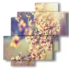 quadri di alberi in fiore ciliegio - version: 4 pannelli 77x78cm