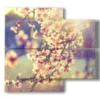 paintings of cherry blossom trees - version: 4 pannelli 91x85cm