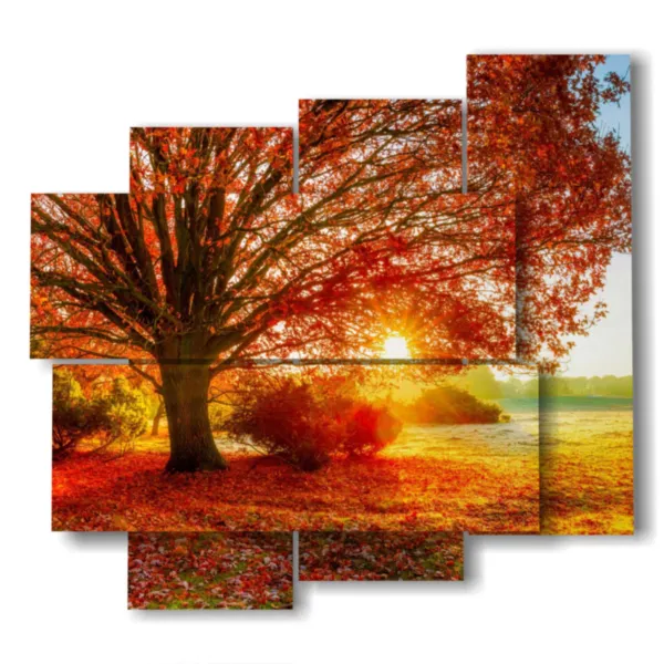 Tableaux d''arbres colorés