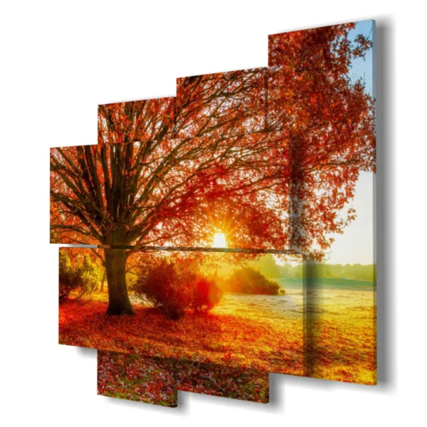 impressions d''arbres colorés