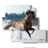bilder rennpferde im schnee - version: 5 pannelli 104x92cm