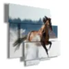 Paintings of racehorses in the snow
