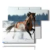 paintings racing horses in the snow - version: 6 pannelli 122x96cm