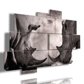 quadri con animali africani