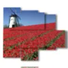 bild mit fotos amsterdam und tulpen - version: 5 pannelli 104x90cm