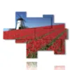 tableau avec photos amsterdam et tulipes - version: 8 pannelli 171x126cm
