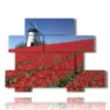 painting with photos amsterdam and tulips - version: 10 pannelli 171x127cm