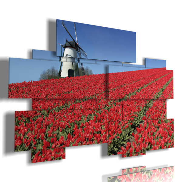 tableau avec photos Amsterdam et tulipes