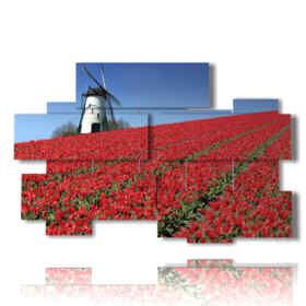 marco de fotos Amsterdam y tulipanes