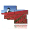 tableau avec photos amsterdam et tulipes - version: 10 pannelli 176x119cm