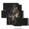 famous paintings with owl birds - version: 5 pannelli 104x92cm