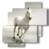 quadri di cavallo bianco su bianco - version: 4 pannelli 77x78cm