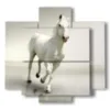 tableaux de chevaux blancs sur blanc - version: 5 pannelli 89x85cm