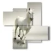 white horse paintings on white - version: 4 pannelli 94x98cm
