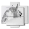 bild pferd im profil - version: 5 pannelli 89x85cm