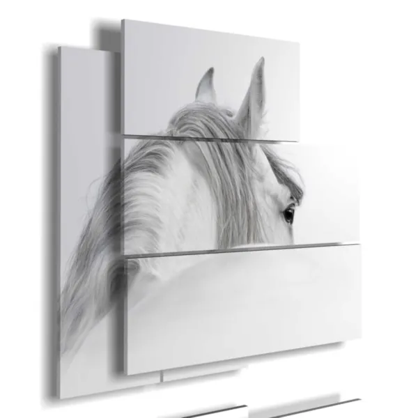 Paintings of a horse