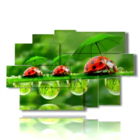 quadri animali colorati