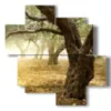paintings modern olive trees - version: 4 pannelli 97x97cm