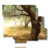 paintings modern olive trees - version: 6 pannelli 113x99cm