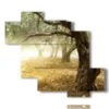 paintings modern olive trees - version: 6 pannelli 127x110cm