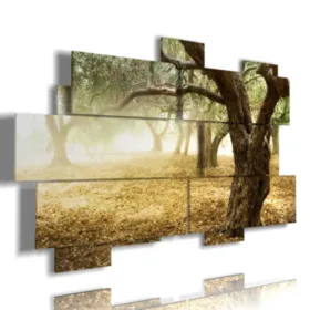 quadri alberi moderni ulivi