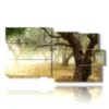 paintings modern olive trees - version: 10 pannelli 183x100cm