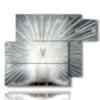 tableaux oiseaux paon blanc - version: 6 pannelli 122x96cm