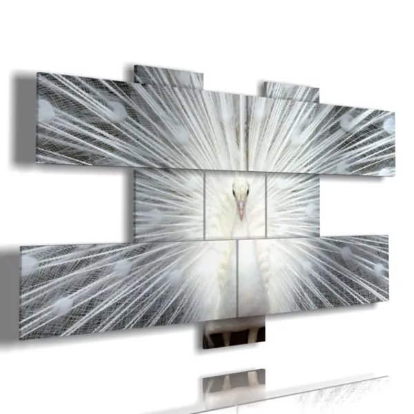 Gemälde, Vögel, Pfau, weiß