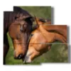 paintings famous horses in courtship - version: 5 pannelli 102x93cm