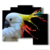 painting parrot color painting - version: 5 pannelli 89x77cm