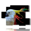 painting parrot color painting - version: 6 pannelli 129x94cm