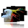 painting parrot color painting - version: 9 pannelli 171x108cm