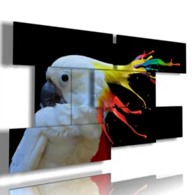 colorful parrot paintings