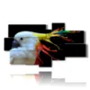 painting parrot color painting - version: 8 pannelli 184x100cm