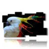 painting parrot color painting - version: 11 pannelli 184x104cm